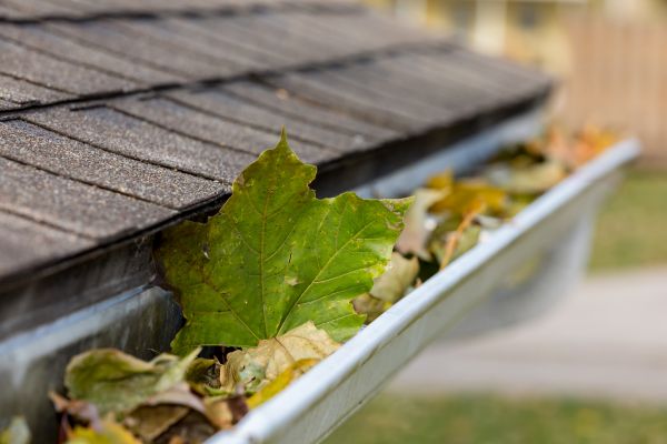 Cost of Gutter System Cleaning in Salt Lake City