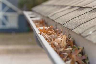 Gutter Leaves Removal detail