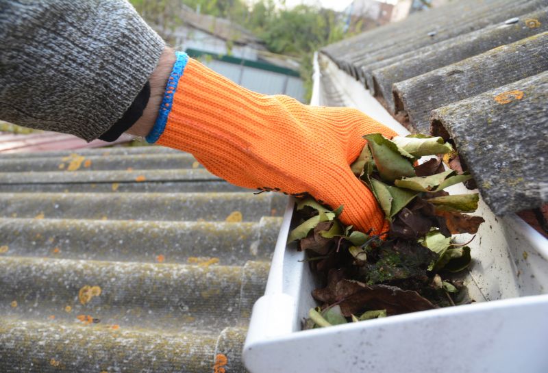 Affordable Gutter Cleaning Solutions